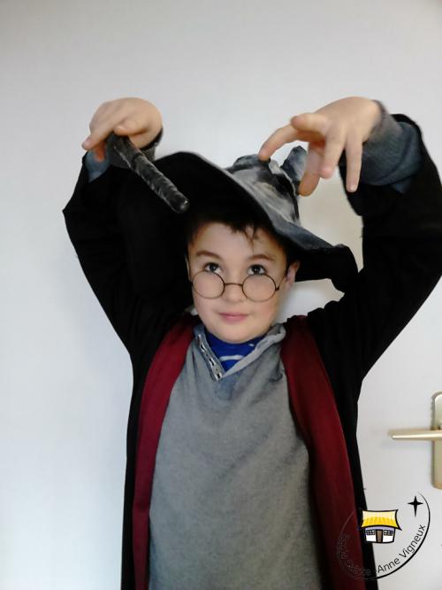 Projet Harry Potter - Classe de CM2